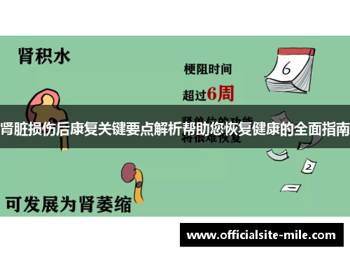 肾脏损伤后康复关键要点解析帮助您恢复健康的全面指南