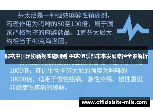 解密中国足协新规实施细则 44家俱乐部未来发展路径全景解析