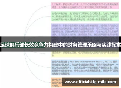 足球俱乐部长效竞争力构建中的财务管理策略与实践探索