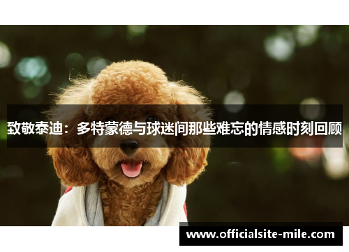 致敬泰迪：多特蒙德与球迷间那些难忘的情感时刻回顾