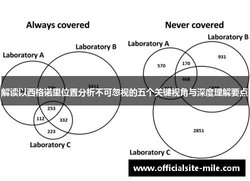解读以西格诺里位置分析不可忽视的五个关键视角与深度理解要点